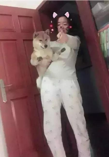 “妈，我是顺产吗？”“你是泼妇产”哈哈哈哈哈哈哈哈哈