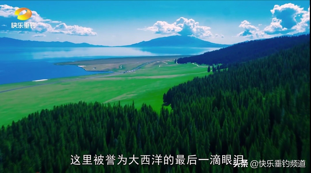 女子和大鱼搏斗,女子与大鱼的搏斗