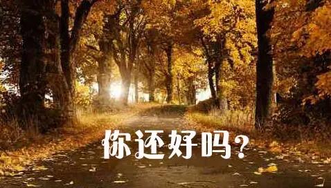 下一站，回家！回到大灌南的怀抱