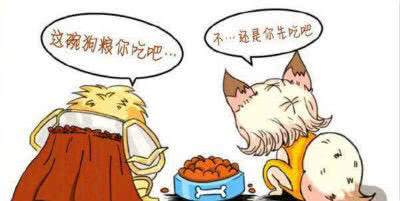 狗粮皇家伯纳天纯 (皇家狗粮和伯纳天纯哪个好)