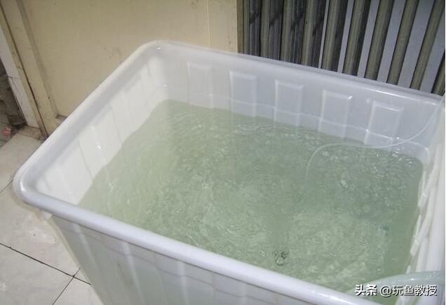 鱼缸新换的水有鱼腥味怎么解决,鱼缸刚换的水隔天就绿了怎么解决