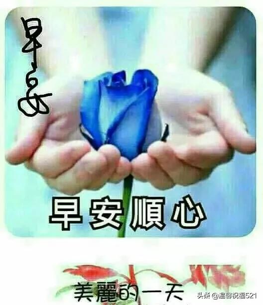 有品位的早安短语祝福短信,虎年大年初三早安祝福短信