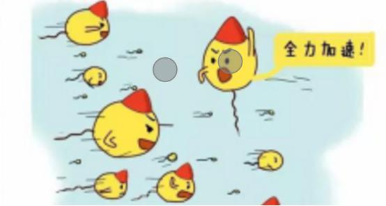 你了解受孕的过程吗,你知道精子怎么组成的吗