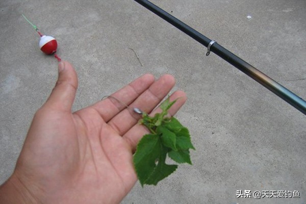 如何钓草鱼最佳钓法,流水钓草鱼的钓法与技巧