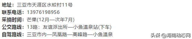 趁着春光出游海南,趁着春光明媚去旅行