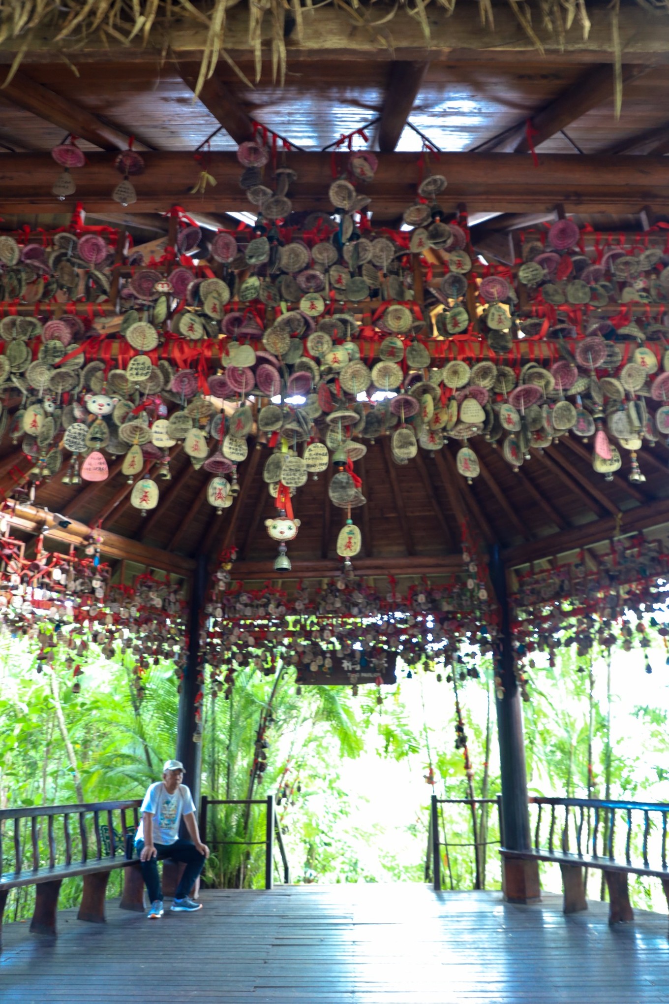 呀诺达雨林探险是什么,三亚呀诺达雨林正规吗