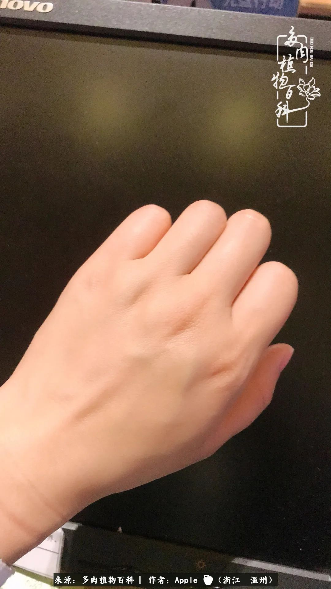 多肉成长记观察记录怎么写,多肉成长记录观察展板