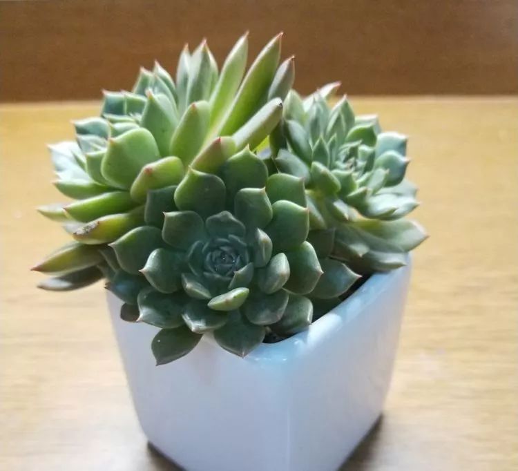 大四老学姐的寝室生活,养肉路上的真实感受