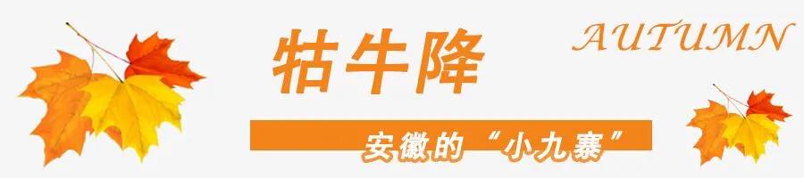 黄山秋景几月去最好,秋天几月份去黄山最好看的花海