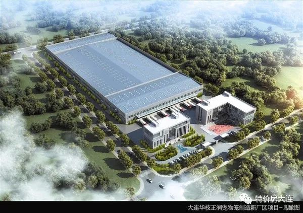 大连新机场填海工程,大连新机场项目全面提速