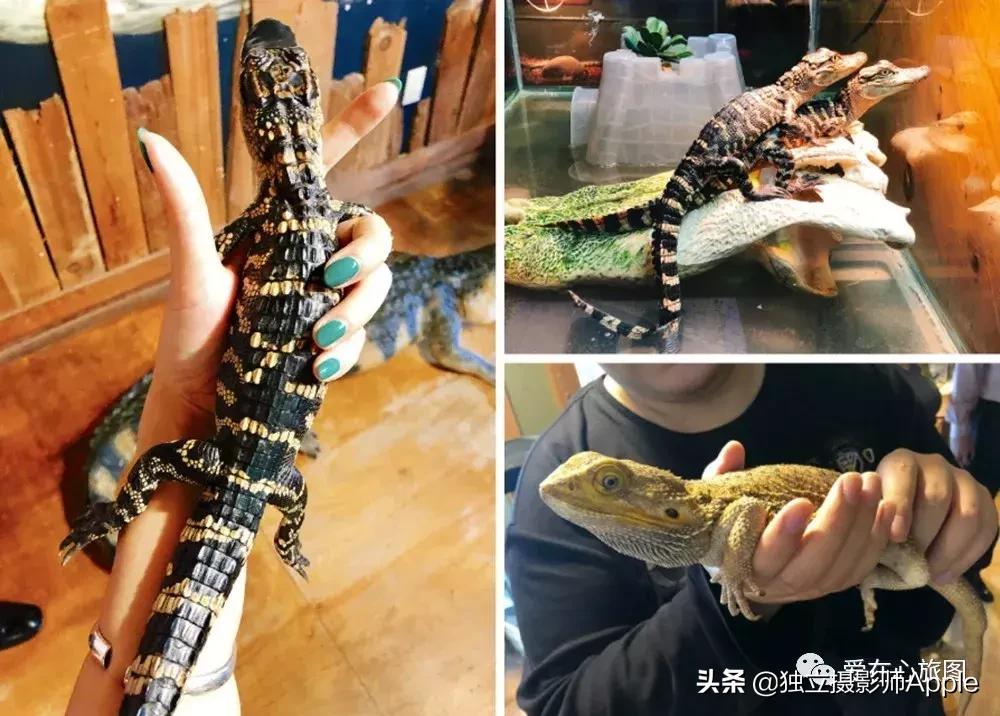 请收下这份美好生活攻略,请收下这份旅游攻略