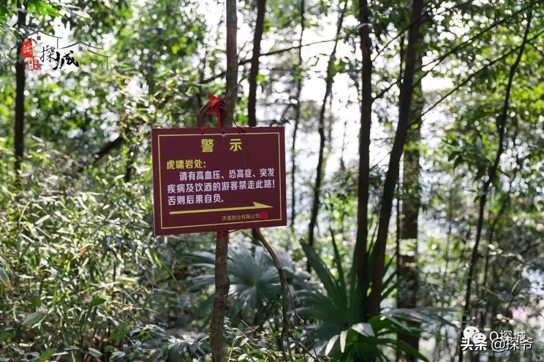 重庆爬山推荐险峻,重庆峭壁悬崖景区