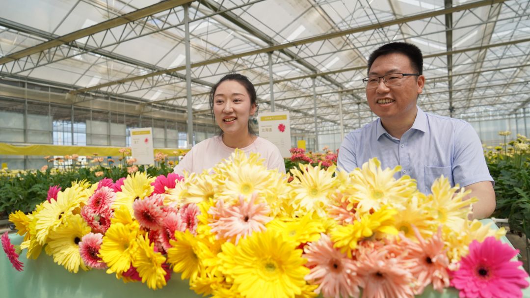 开远市2023年gdp全省排名,开远生产总值