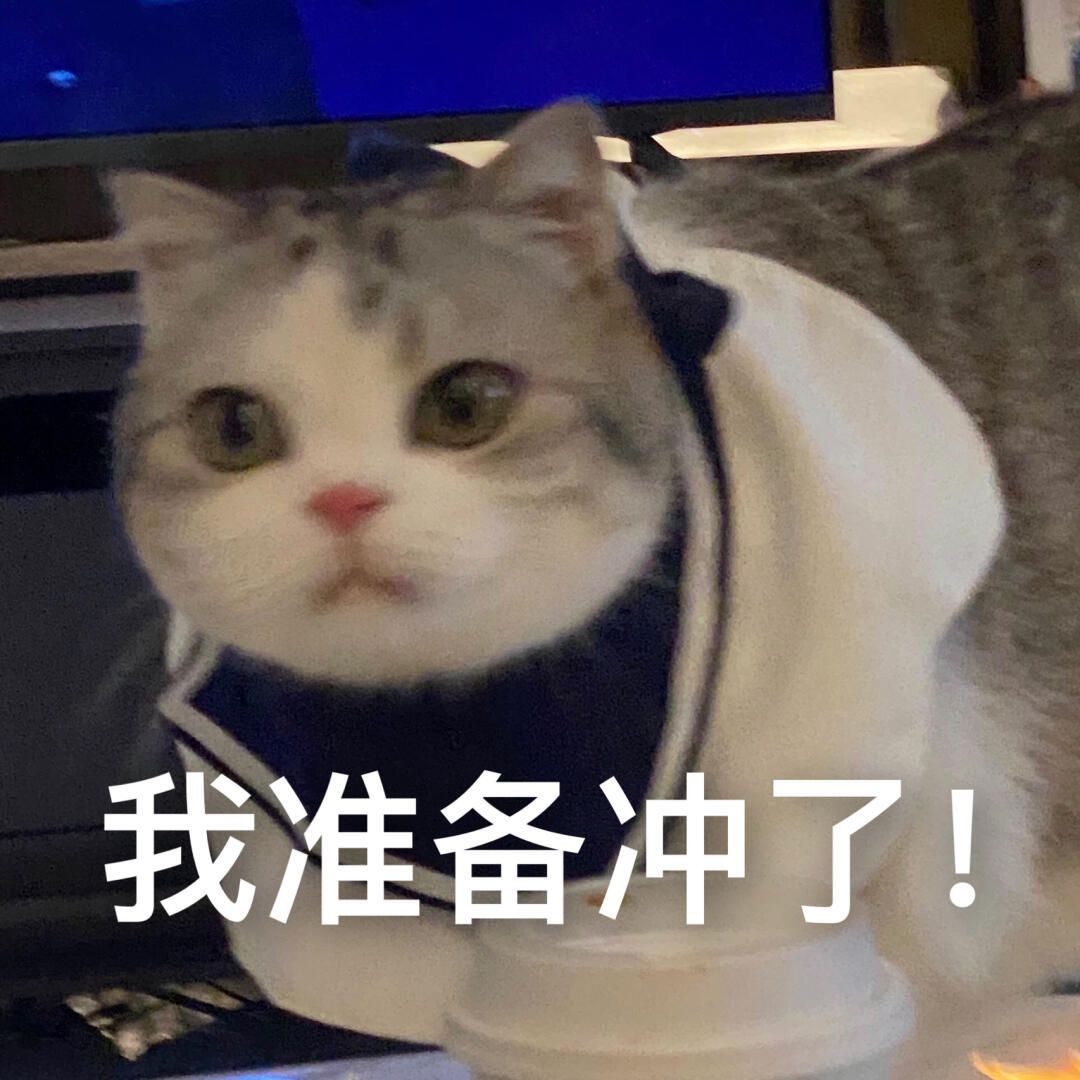 辽宁中级会计师证书查询,管理会计师中级证书