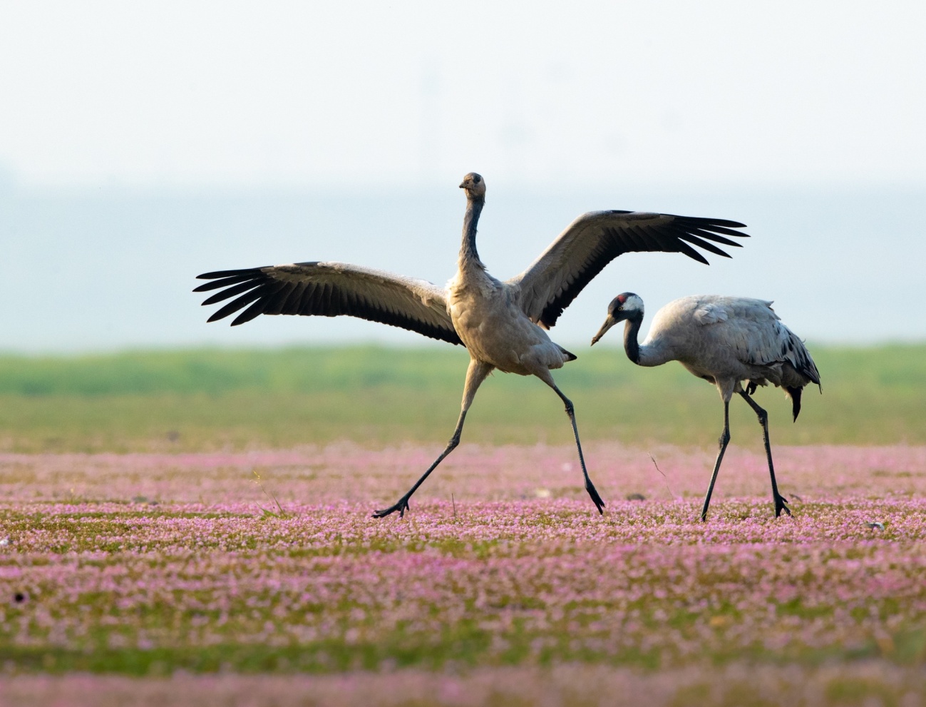 用镜头捕捉瞬间用光影记录感动,用镜头记录人生用心灵感悟美好