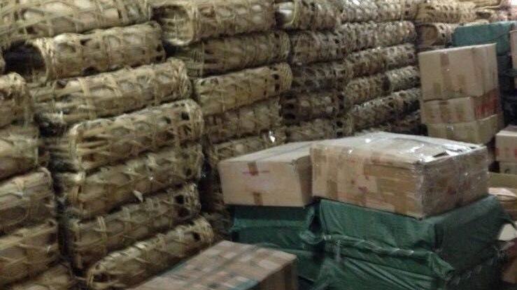 东莞普洱库存40万吨,东莞30万吨普洱茶