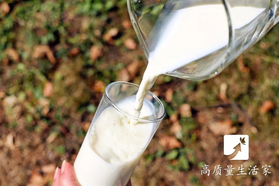 哪五种假牛奶被列入黑名单,这些假牛奶已经被列入黑名单