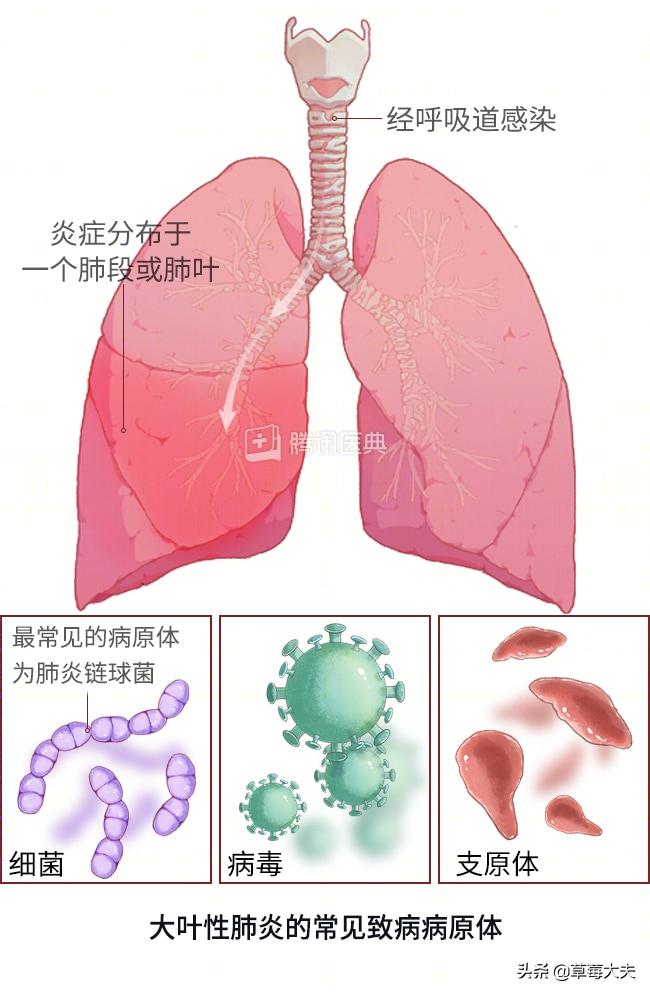 宝宝感冒咳嗽可以用艾叶水洗澡吗,孩子咳嗽两个月不好