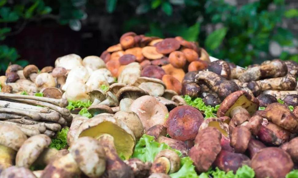 云南人有多能吃辣,云南人到底有多敢吃