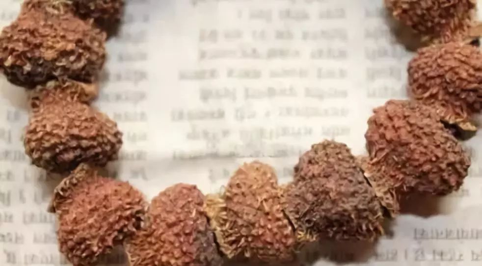 菩提手串大全图解,菩提手串的种类图解