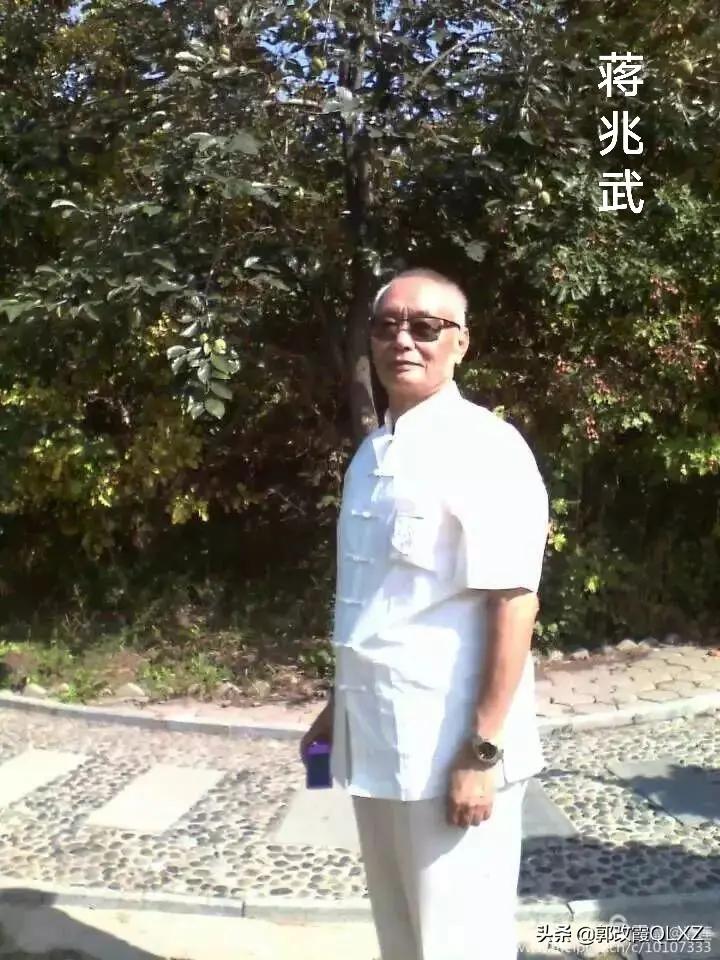 蒋兆武书法/郭改霞QLXZ