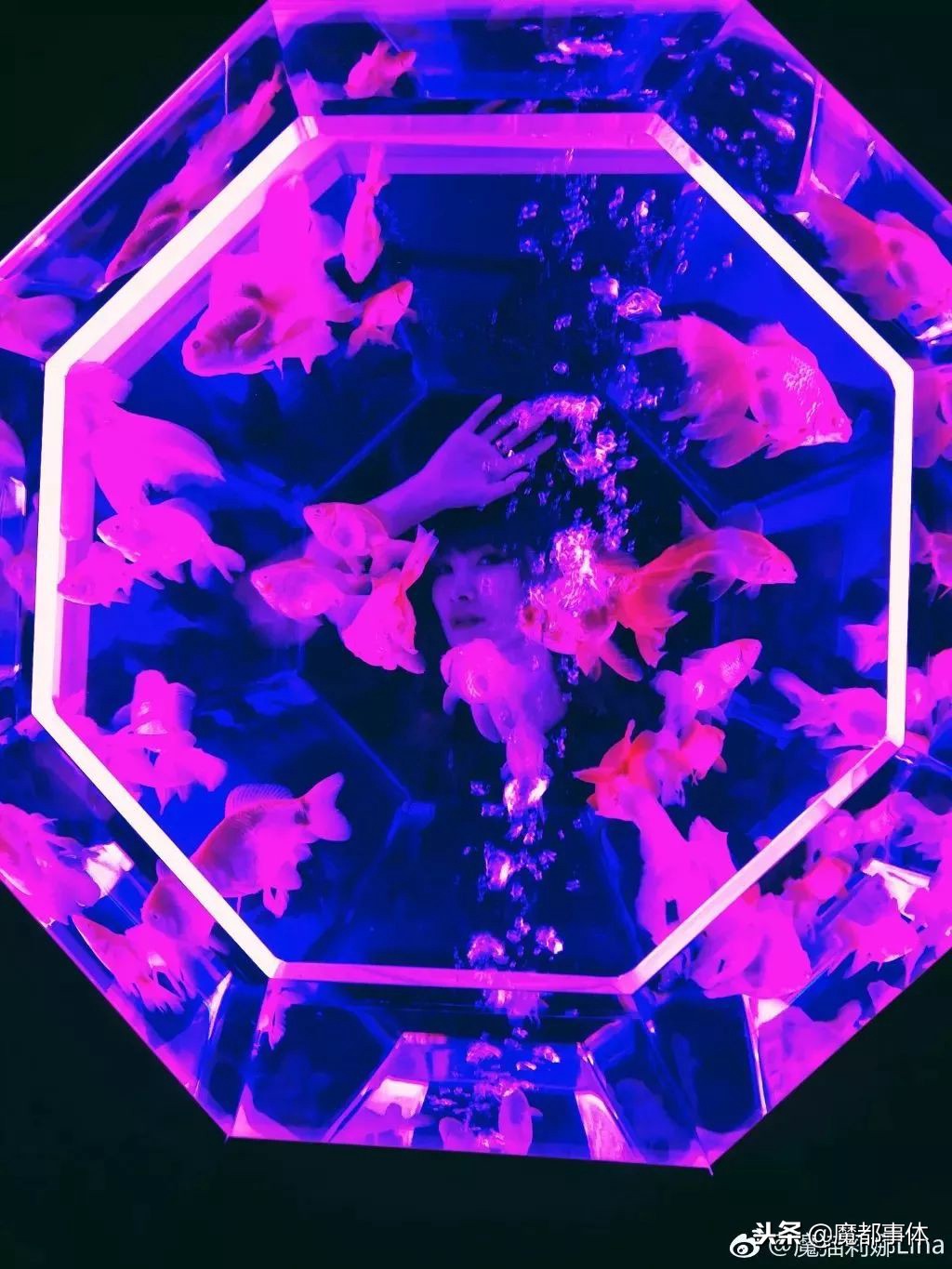 上海天安千树网红打卡点,上海打卡必去的地方排名