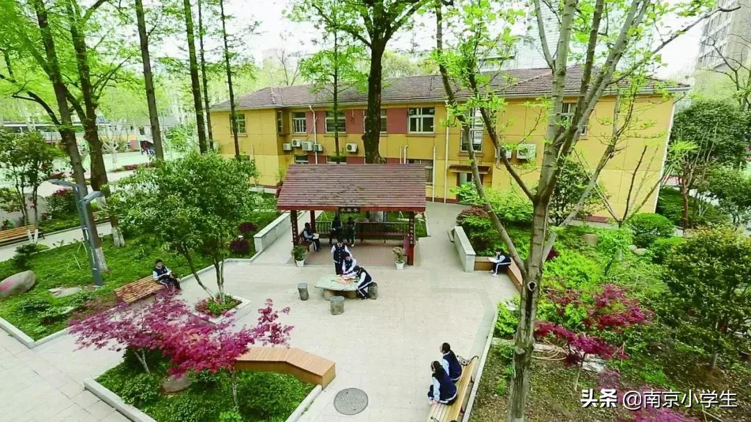 2020小升初玄外录取排名,小升初能同时摇中南外和玄外吗