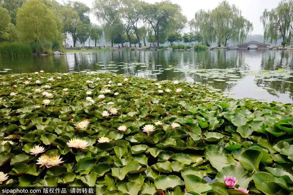 周末北京这些值得去的地方,北京周末来这儿玩