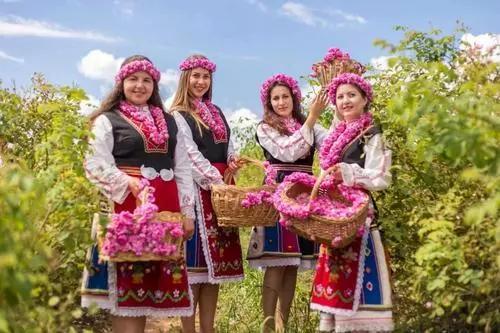 呵芬玫瑰纯露，源于自然的精粹，为生活种下芬芳