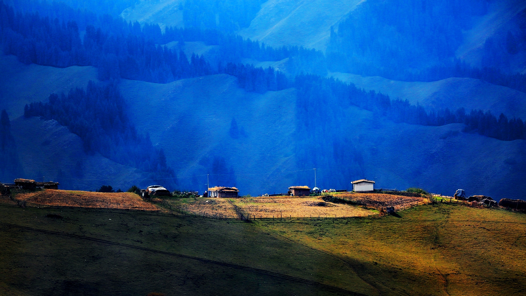 澶╁北楹︽捣,鏄熺┖涓嬬殑缁濈編绋荤敯姊甸珮