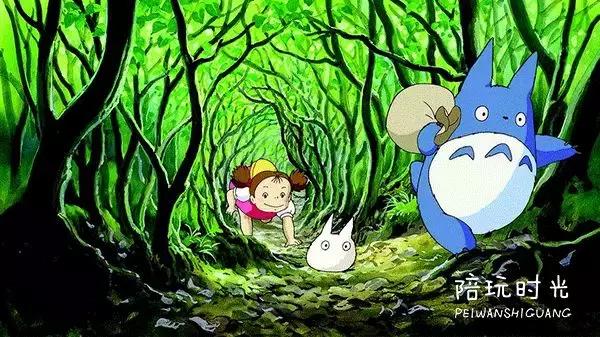 龙猫怎么选好看的,龙猫单纯好看吗