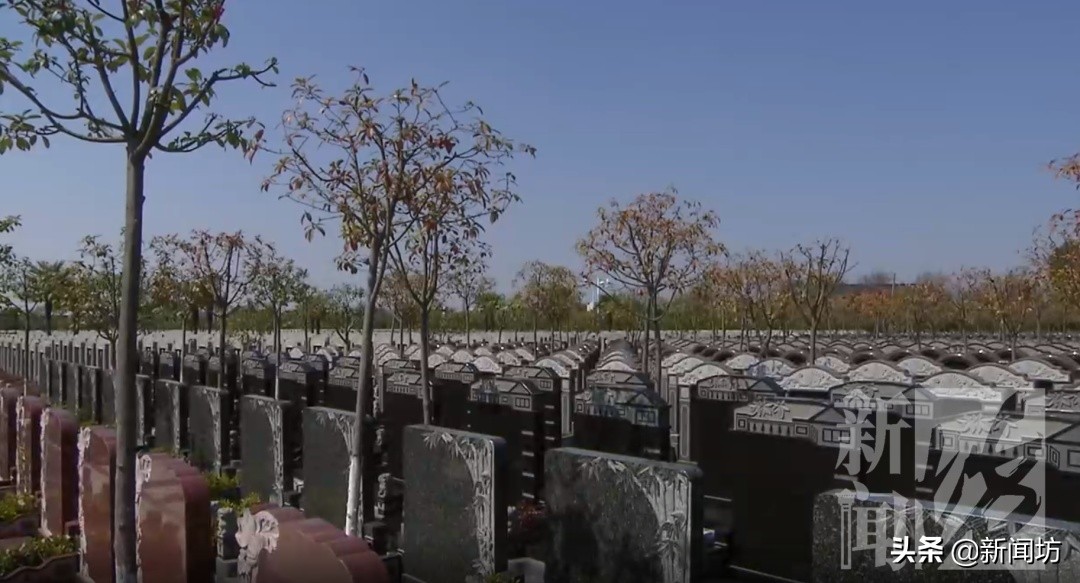 上海滨海古园云祭扫,上海公墓清明期间可以网上祭扫吗