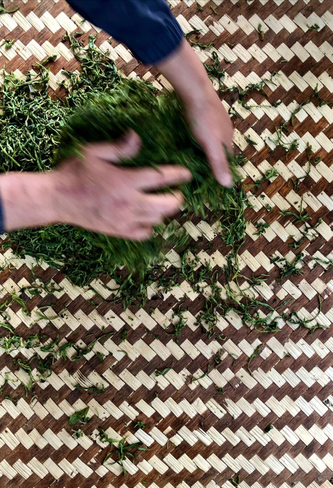 2019昔归头春古树茶价格,曼岗古树茶和昔归古树茶区别