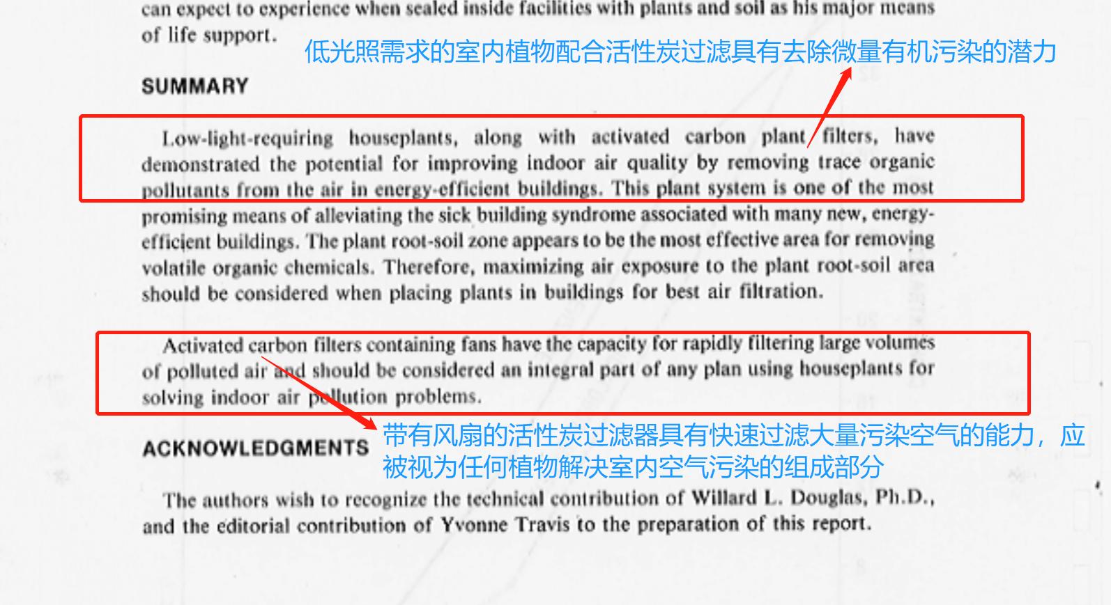 新房除甲醛最好的植物测评,去甲醛排行榜第一名植物除甲醛