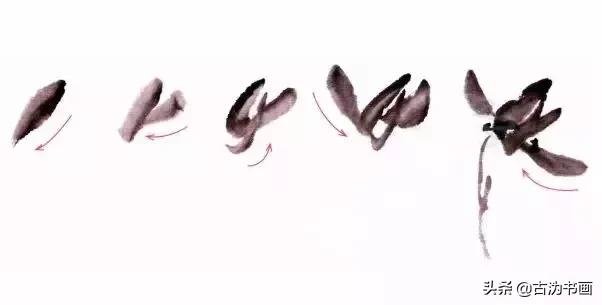 徐湛国画兰花技法教学,国画兰花入门技法