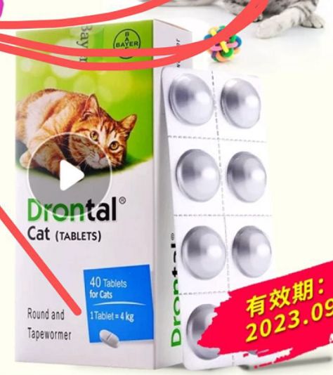 网上买猫咪体内驱虫靠谱吗,猫咪驱虫药宠物店有卖吗