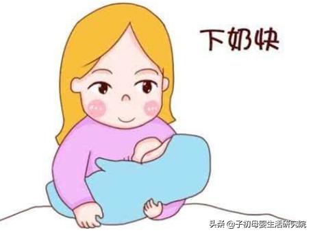 母猪没奶水怎么才能快速下奶,月子里奶少了怎么能快速下奶