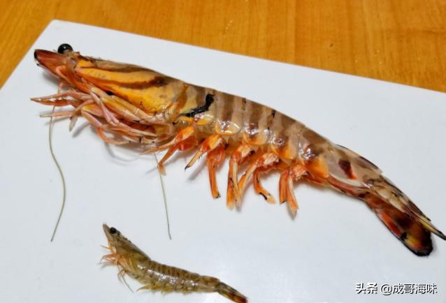 吃海鲜的六大忌你知道吗,吃海鲜不为人知的黑幕