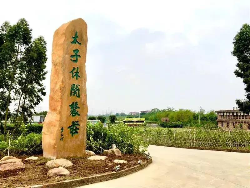 顺德适合10-15人聚会的餐厅,顺德聚餐推荐餐厅10人以上