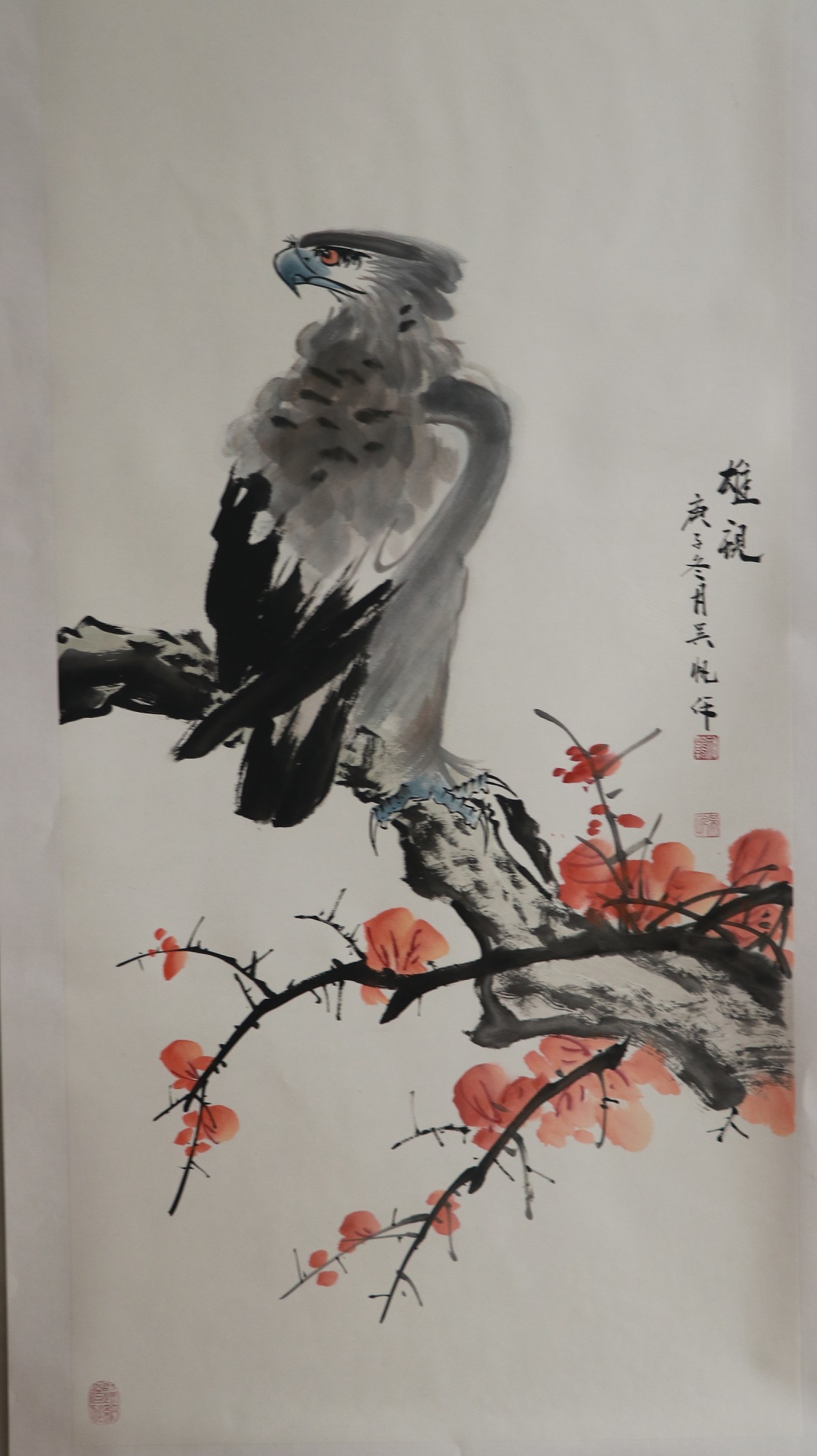 鹰被认为是力量和勇气的象征,鹰只是勇猛胜利的象征吗