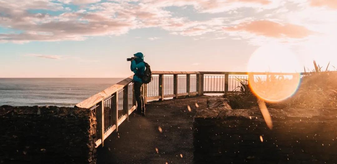 去新西兰创业做什么,在新西兰创业做什么