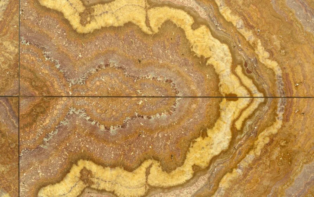 高于生活的封面资产，LightArt空间定义滨融美学