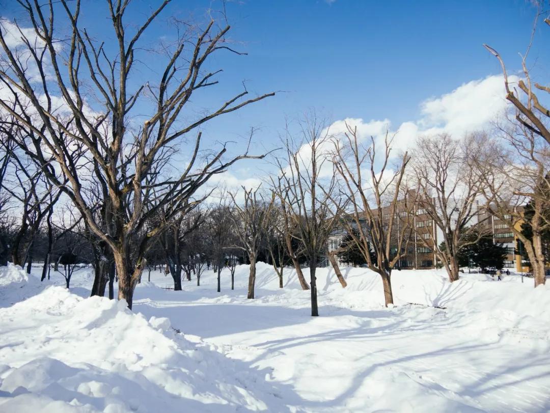2020年1月最值得去的旅行地,这才是一月份最值得去的旅行地