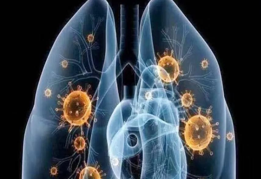 益生菌抗氧化抗自由基,益生菌有没有抗过敏的作用