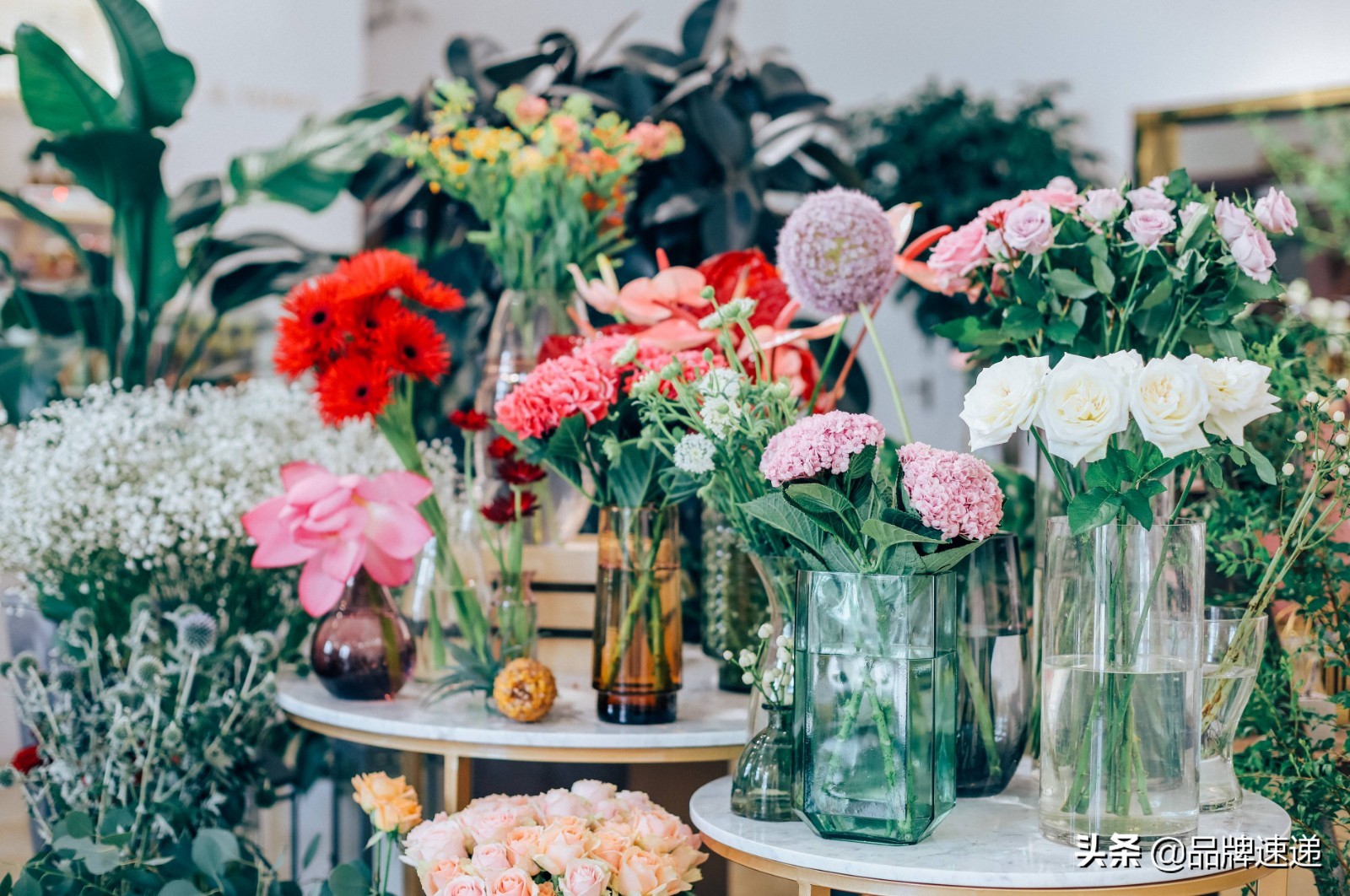 愿你早日能开一家花店,你是否曾有过开一家花店的梦想