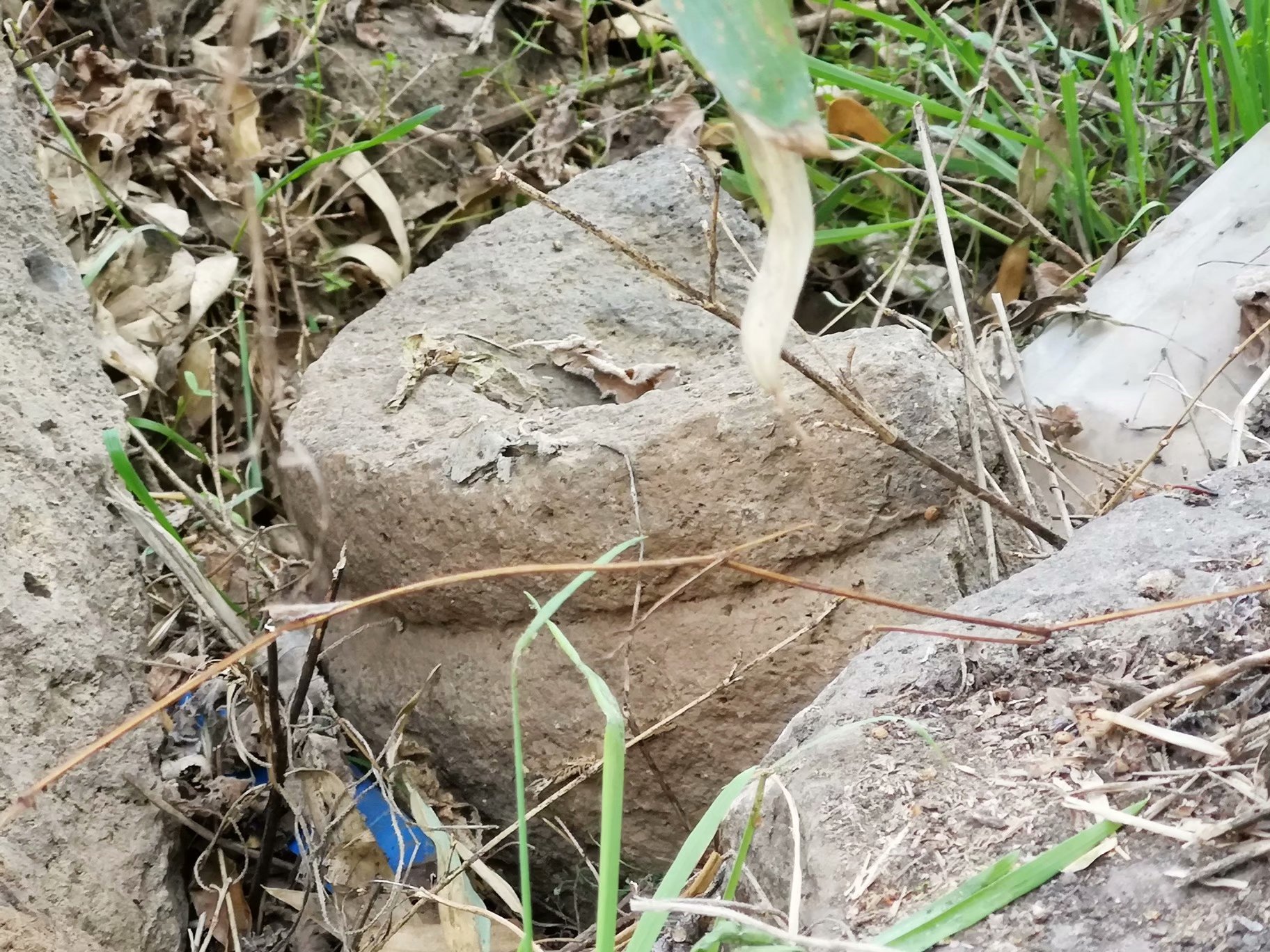 摩托周边旮旯游——探访明光法华禅庵塔