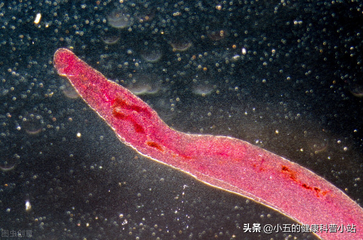 肝脏囊肿的症状和治疗方法,肝脏囊肿属于慢性病变吗