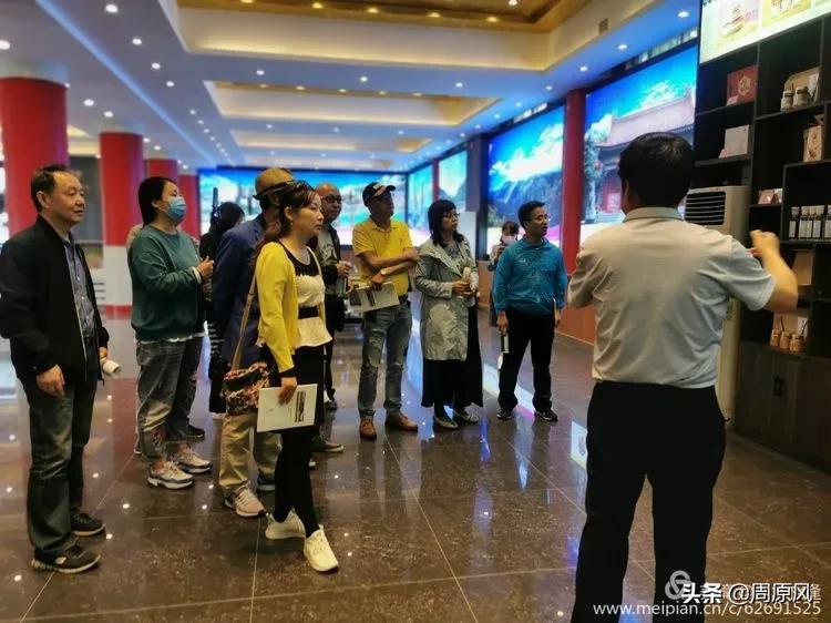 赴一场春日的邀约,五月赴一场与槐花的约会