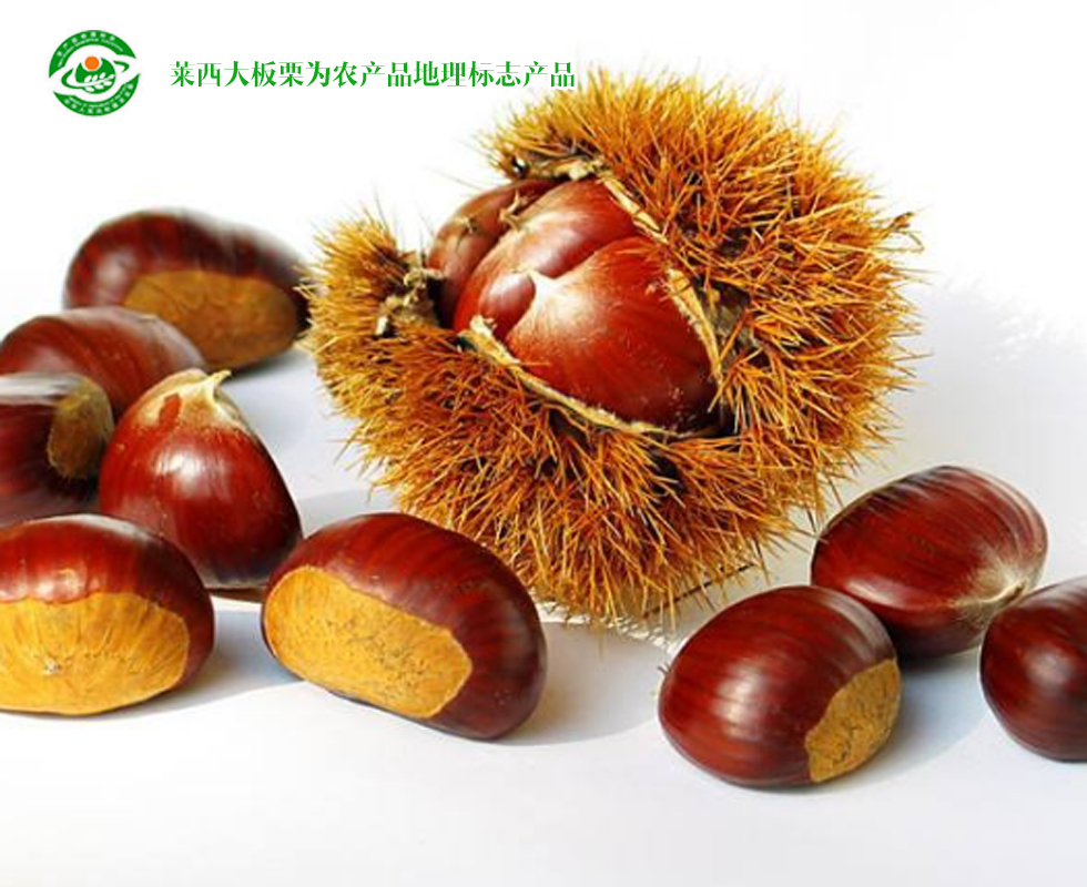 青岛特产十二道海味,青岛特产必买清单排行榜第一名