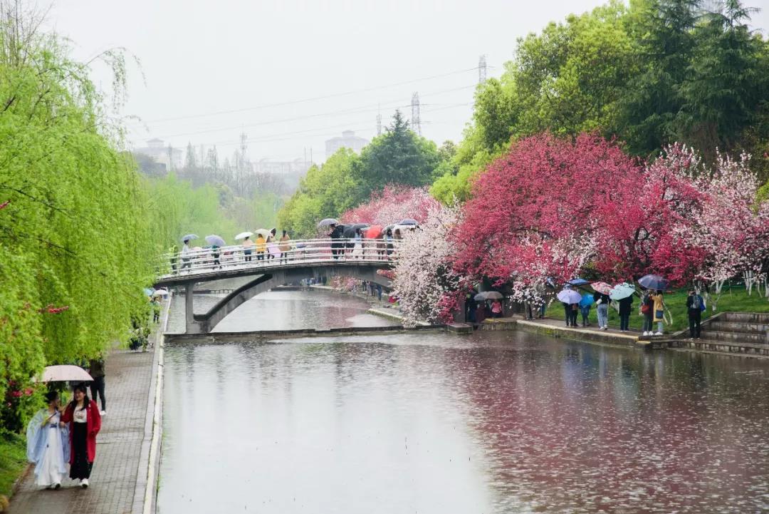 湖北七所知名高校,湖北省的顶级7所高校